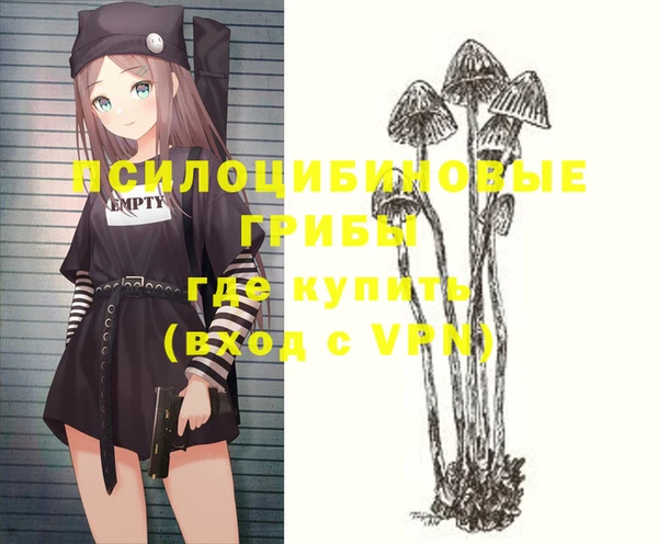 гашик Алексеевка