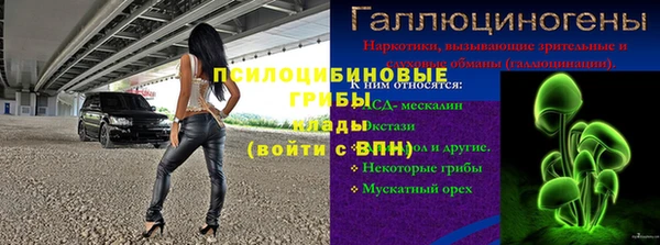 гашик Алексеевка