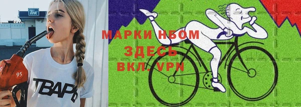 гашик Алексеевка