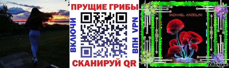 где можно купить   Задонск  Псилоцибиновые грибы мухоморы 